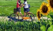 面对·追寻·陪伴_250字