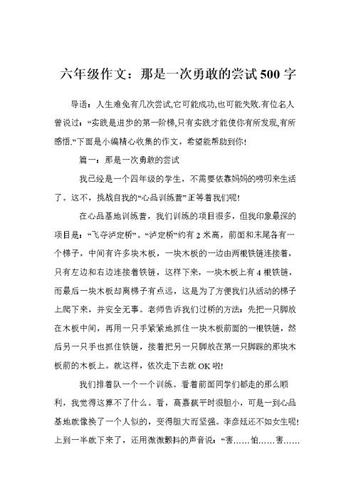 勇敢尝试_750字