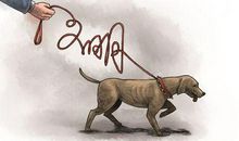 给恐龙的一封信_800字