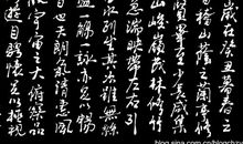 随心而想_550字