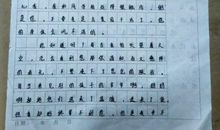 一年级书信：写给奶奶的一封信_250字