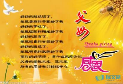 关于感恩节的故事