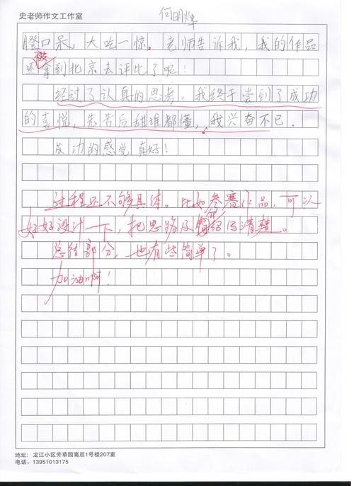 成功的感觉_900字