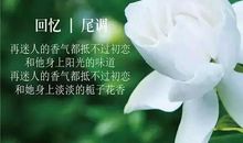 栀子花_600字