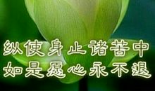 一切如母有情_2000字