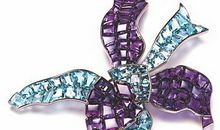 【微作文】生命之花永开不败_150字