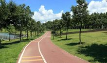 现实照进梦想_700字