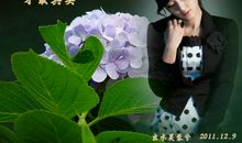 花开，你已不在_650字