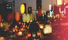 【微作文】我想陪你到生命终结_150字