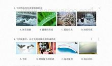 高三文科学习计划书