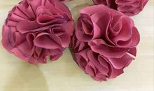 选择做一朵花_750字