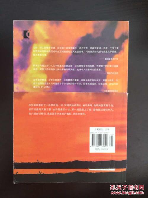 追逐风筝（第1章）_1000字