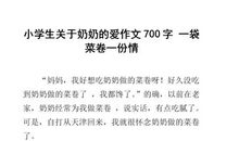 奶奶_700字