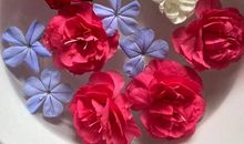 沈岸自传_2000字