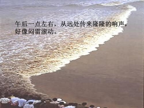 “查看太”重写_550字
