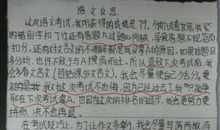 中考中随写_100字