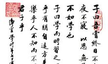 学而习之，不亦智乎_900字