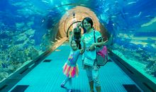 初夏之梦_1500字