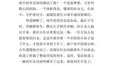 母爱的那颗心_700字