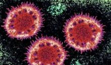 一转身的琉璃_500字