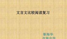 《记承天寺夜游》改写_750字