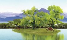 关于景色的作文：山美水美的地方_900字