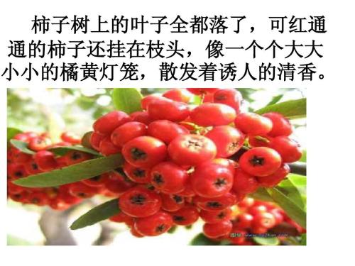 风景上的构图：用餐Rain_750字