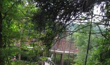 有各种各样的路_1000字