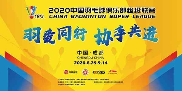 我经历了十四年_700字