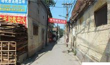 我家有一条马路_450字