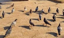 美在转角_3000字