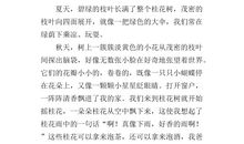 家门前的那条路_400字