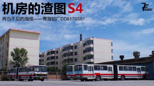 我没有看到红蜻蜓_3000字