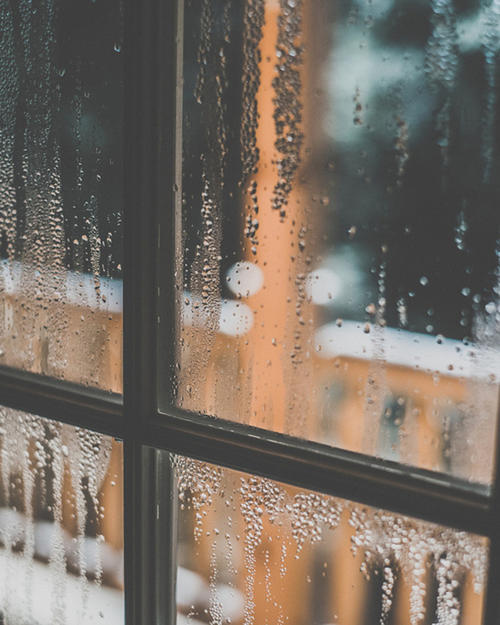 风景上的构图：窗外的雨_550字