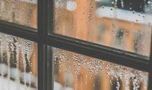 关于景色的作文：窗外的雨_550字