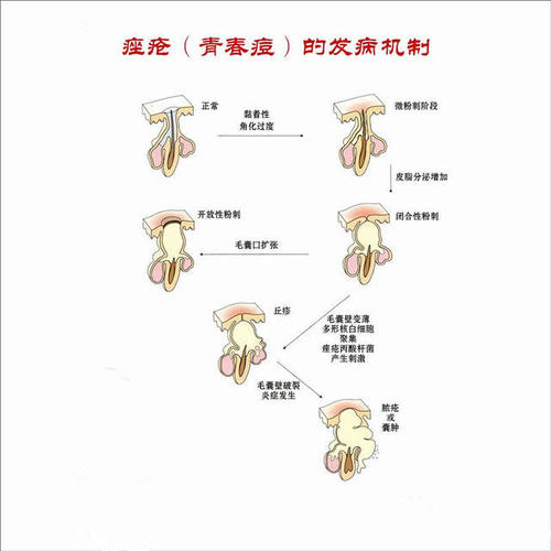 在定义的青年_900字样下