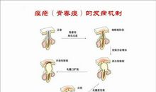 下了定义的青春_900字