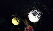 明月皎皎照心房_800字