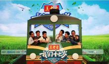 走过十七岁的青春街_900字