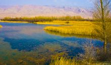 路，是无穷无尽的_500字