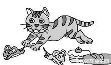 世界上有三条路_450字