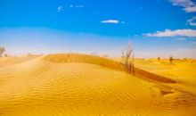 一只骆驼的征程_750字