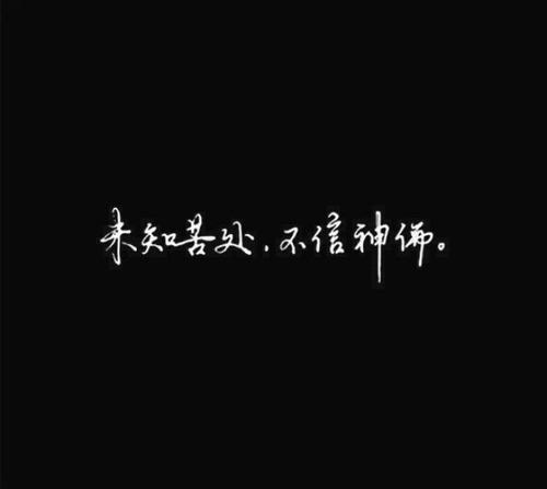 我嘲笑，我的生命不是来自天空_2000字
