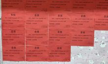 年少的我们在路上_3000字