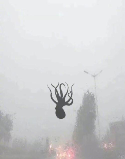 这个雨，下一个雨_450字