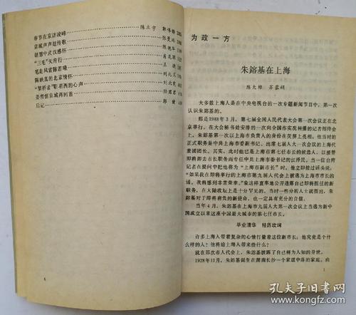 给冰心奶奶_800字