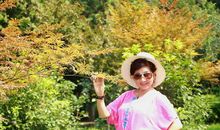 《十三岁的梦 1.偶遇》_1200字