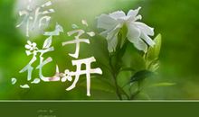 栀子花开_500字