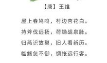 劳动节好段好句：关于劳动节成果的好段好句_600字