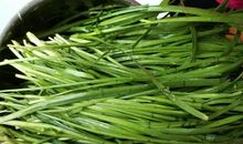 春风十里因为有你_800字